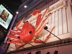 -蟹道乐(道顿堀本店)