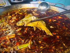 三角峰-小饕荟雅安贡椒鱼鲜馆(广福桥店)