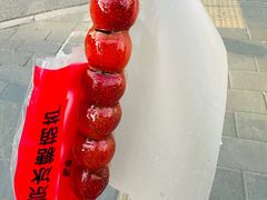 -和禄德冰糖葫芦