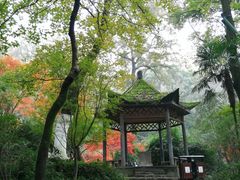 -岳麓山风景名胜区