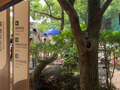-同里国家湿地公园