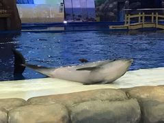 -华夏文旅海洋公园