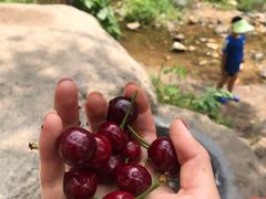 -碓臼峪自然风景区