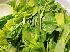 -菌极鲜野生菌火锅店(阳明祠店)