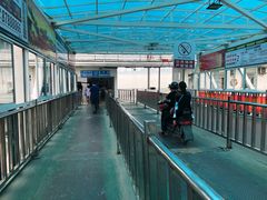 -武汉关码头(轮渡站)