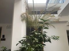-自如ZSPACE四合院艺术餐厅