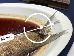 -百盛·鼎膳(中海财富中心)