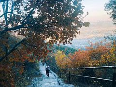 -香山公园-东宫门售票处