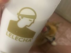 -LELECHA乐乐茶(百货大楼店)