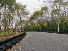 -上海海湾国家森林公园