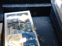 -关西国际机场直营免税店