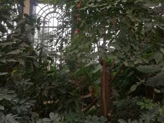 -郑州银基黄帝宫御温泉