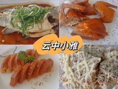 -云中小雅
