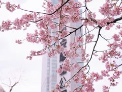 -静安雕塑公园