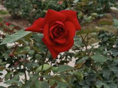 -人民公园(罗湖区)