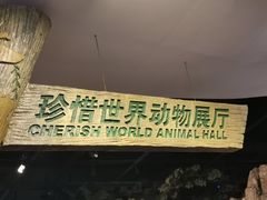 -陕西自然博物馆