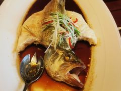 -燕郊烧鸽子(酷车小镇店)