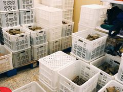 水产区-璐坊粽王(复兴中路店)