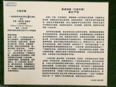 -四川美术馆