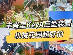 -丰盛里