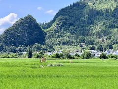 -万峰林风景区