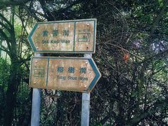 -南丫岛