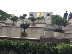 -洛阳周王城天子驾六博物馆