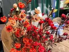 -BOBLOOM花店(宝龙旭辉广场店)