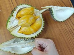 -101 Fresh Fruits Trading