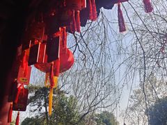 -安徽八里河旅游区