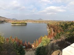 -樱花山风景区
