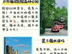 -日照海滨国家森林公园