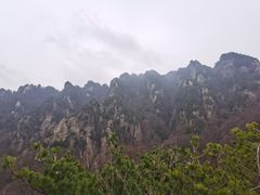 -王顺山国家森林公园