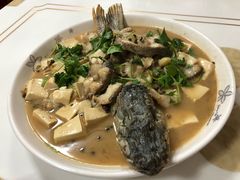 -煲来饱去冷水鱼