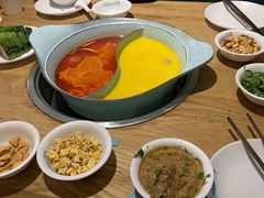 -青瓷火锅料理(西单大悦城店)