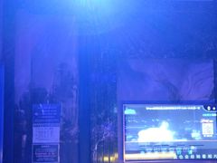 -宝岛甲壳虫KTV(蓝天路店)