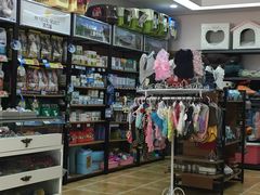 -读宠于你·约克夏比熊·睫角守宫·爬宠售卖(高新店)