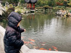 -杭州西湖柳莺里酒店·闻莺厅