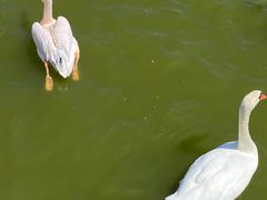 -新疆天山野生动物园