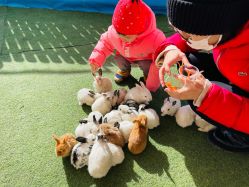 -萌宠亲子动物乐园(槐房万达店)