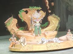 -广州长隆国际大马戏