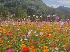 -贵阳市花溪国家城市湿地公园