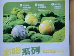 -吴山山·椰子酸奶(天河南店)