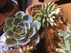 -大理岛·精品云南菜·音乐餐厅