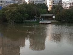 -金山公园