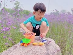 -武昌江滩