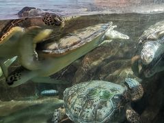 -福州罗源湾海洋世界旅游区