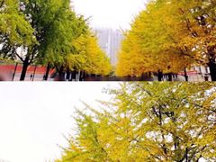 -辽宁大学(崇山校区)