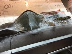 -纽顿熟食中心