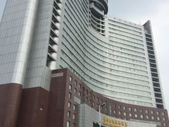 -张家港华芳金陵国际酒店